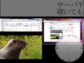 有料配信テスト中 (2011-11-29 11:33:32)