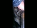 うさぎのハッピー