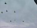 立川防災航空際　ヘリ集団上空通過